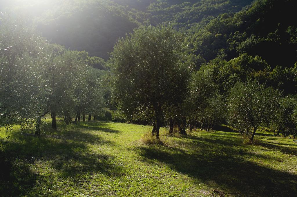 Country Room Il Moro Rignano sullʼArno Exterior foto